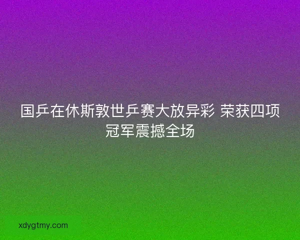 国乒在休斯敦世乒赛大放异彩 荣获四项冠军震撼全场