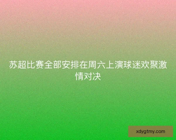 苏超比赛全部安排在周六上演球迷欢聚激情对决